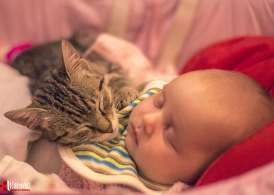 Kitten and baby cuddling